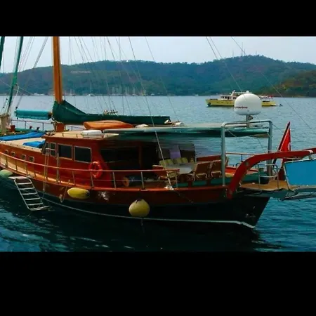 Markus,mandalina,teknesi